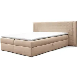 BOXBETT Cedric In Magic Velvet