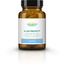 B-Life Protect 36 G