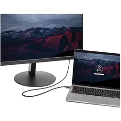 StarTech USB Typ C — DVI (2 m), Videokabel, Schwarz