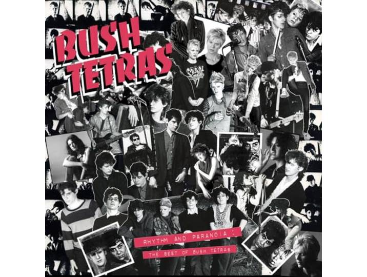 Rhythm and Paranoia: the Best of...