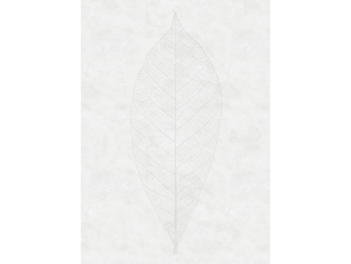 FOTOTAPETE DECENT LEAF