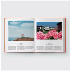 Flower: Exploring the World in Bloom, Ratgeber von Pavord Anna, Connolly Shane, Phaidon Editors