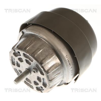 TRISCAN Lagerung, Motor 850529197 für Audi