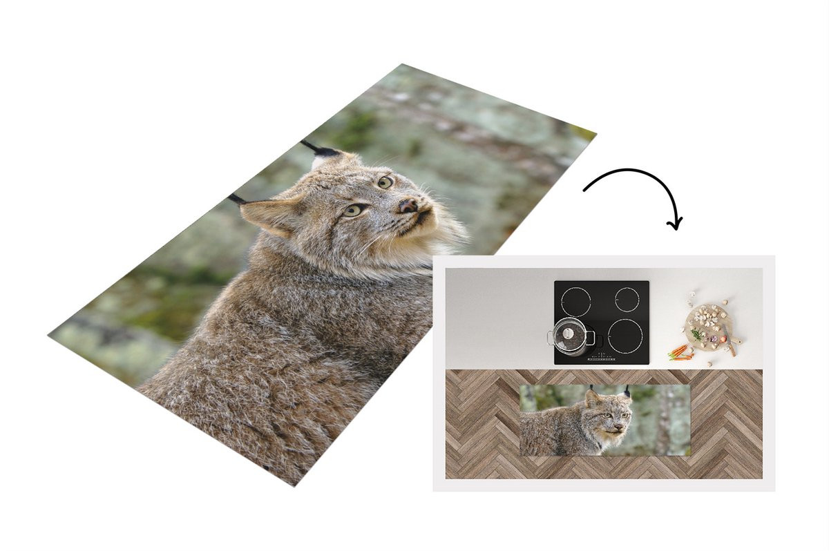 Lynx Keukenloper Vinyl - Bos - Grijs - B/D: 120 x 50 cm