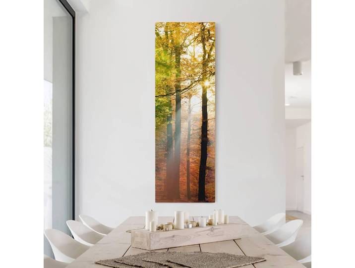 Impression sur toile Morning Light I Lin Orange 40cm