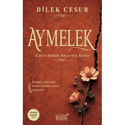 Aymelek, Taschenbuch von Dilek Cesur, Tikla24.de BS