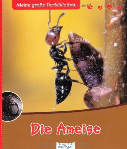 Luc Gomel - Die Ameise - Preis vom 13.10.2026 11:25:28 h