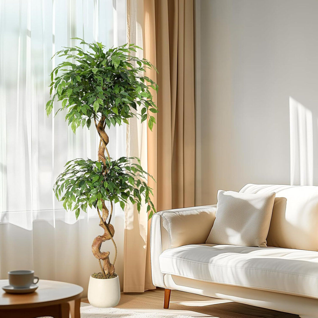 The Seasonal Aisle Ficus Artificial Tree with Curved Trunk,5 Feet Faux Plant Fake Silk Trees with White Pot, Fake Ficus Tree for Home Decor, Artificial Plants Indoor for Green 153cm H X 20cm W X 20cm D