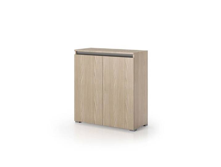 ARMOIRE POLYVALENTE EFFET BOIS D'ORME 2 PORTES