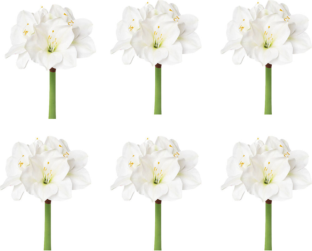 kaiserkraft Amaryllis, weiß, VE 6 Stk, Gesamthöhe 560 mm