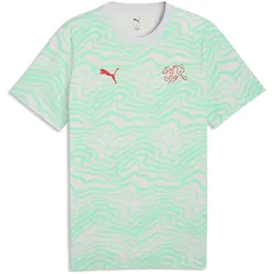 PUMA SFV Schweiz FtblCulture Allover Print T-Shirt Herren 19 - sea glass/puma red XL