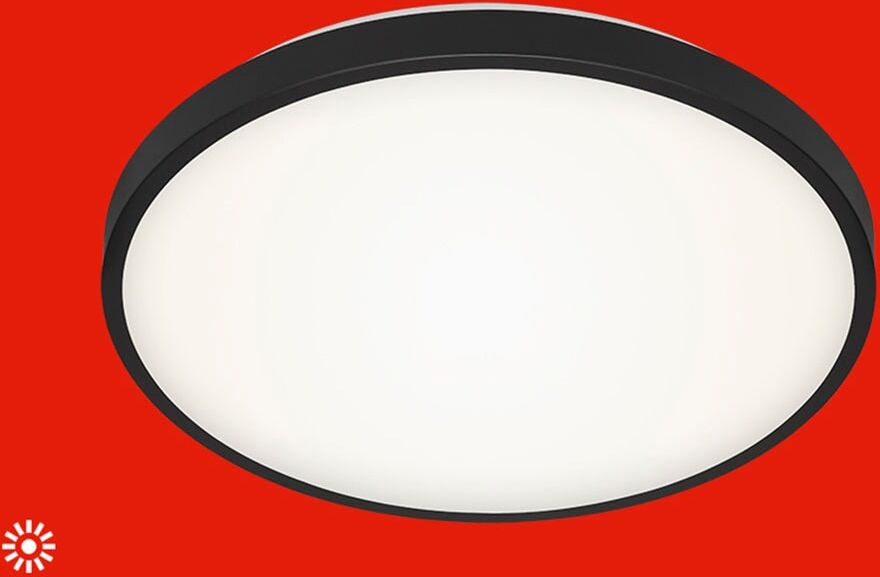 BRILONER LEUCHTEN LED Deckenleuchte "MANNY", schwarz (weiß, neutral), Leuchten, LED Deckenleuchte