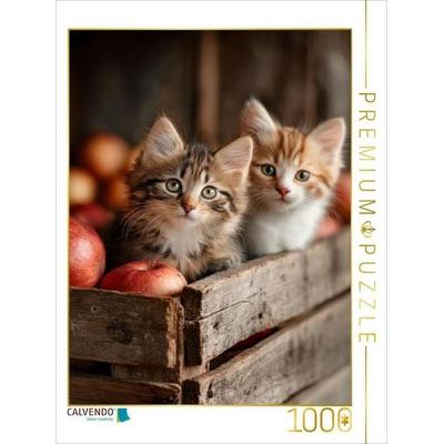CALVENDO Puzzle Katzenbabys auf dem Bauernhof | 1000 Teile Lege-Größe 64x48cm Foto-Puzzle für glückliche Stunden, von , Calvendo Puzzle