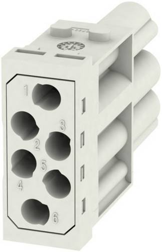 Weidmüller RockStar ModuPlug HDC MHE 6P FC Inhalt: 1 St. Modul
