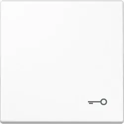 JUNG Wippe Symbol TÜR aws für Taster LS 990 T WW