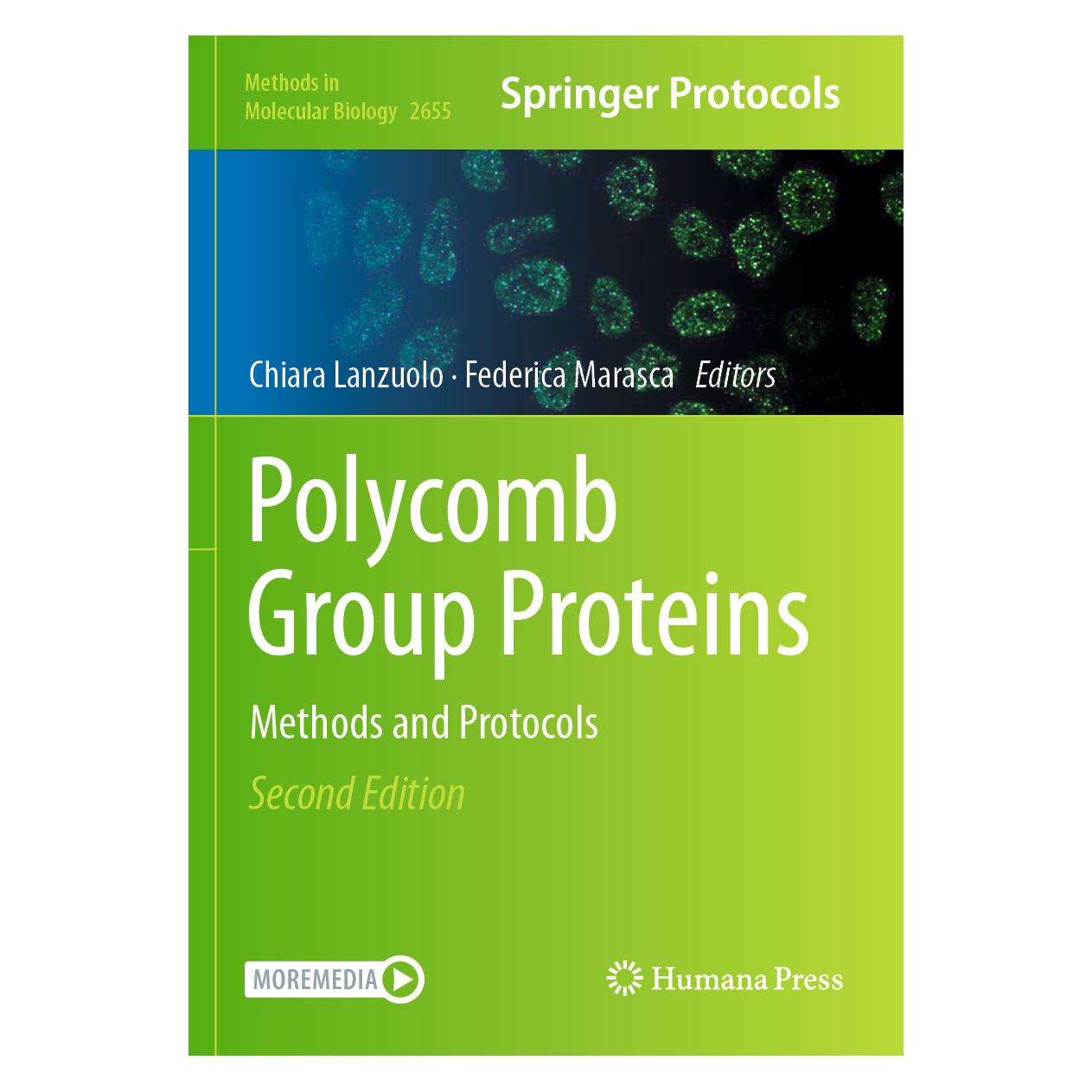 Springer Polycomb Group Proteins (Englisch, Softcover, Chiara Lanzuolo, Federica Marasca) (57091293)
