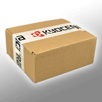 Ricoh Developer D1589640 schwarz OEM