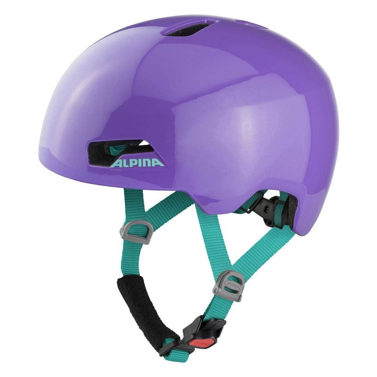 Alpina Hackney purple gloss (56) 47-51 A9743156