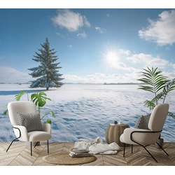 FOTOTAPETE Feld Natur Blau 250x175 cm