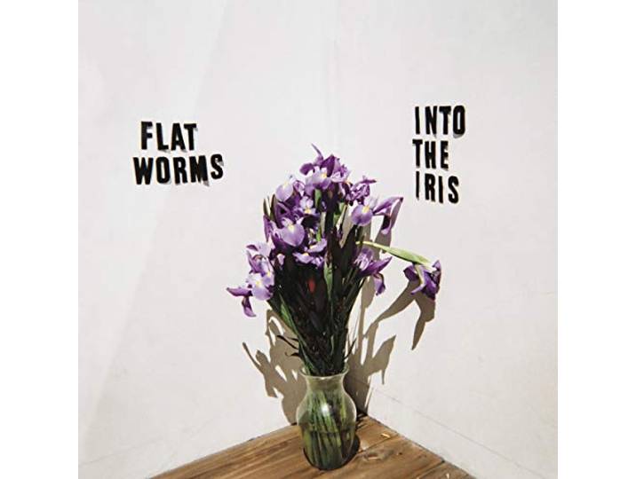 Into the Iris