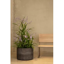 Lavendel Kunstpflanze 75 cm, 5 Blüten