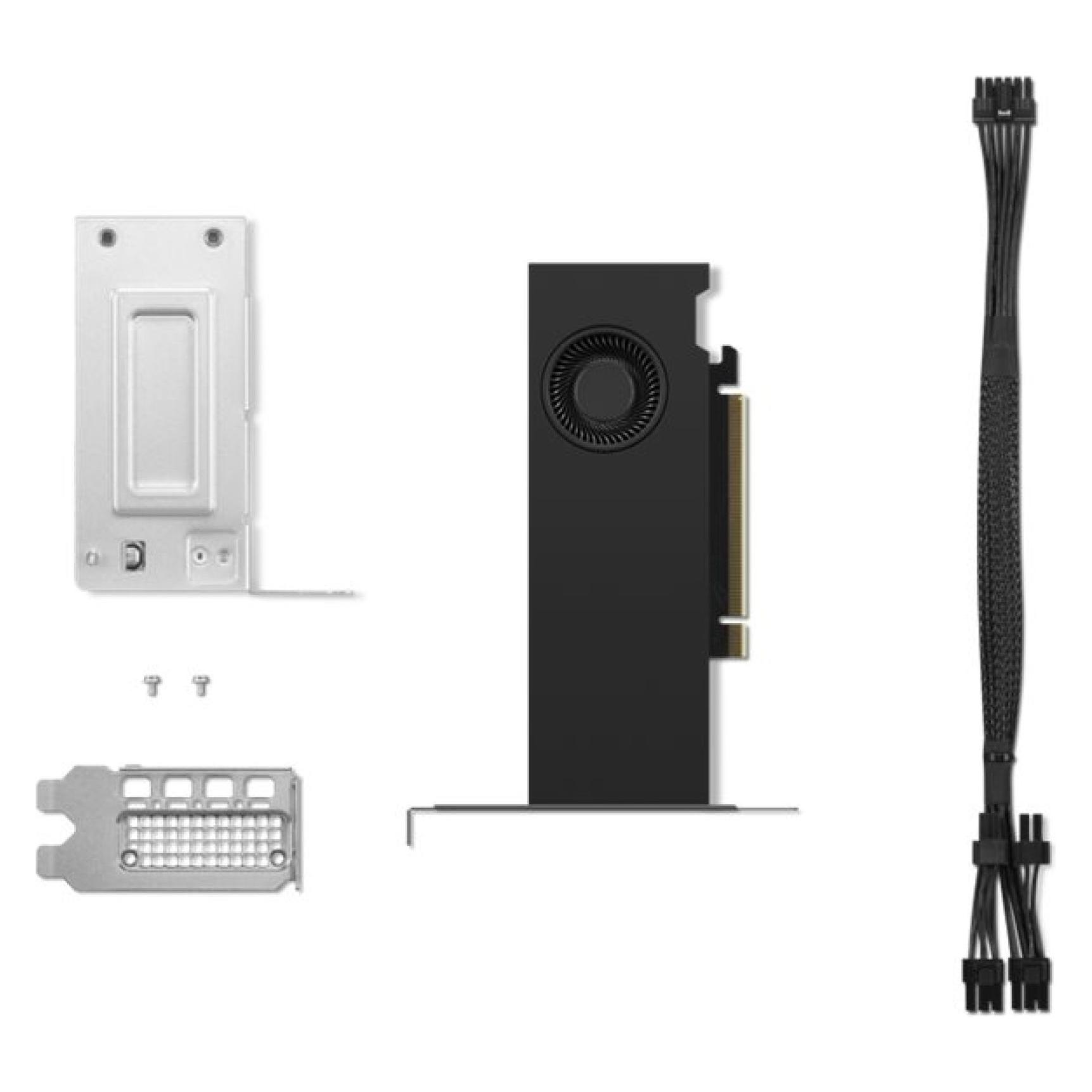 Lenovo NVIDIA RTX 2000 ADA 16GB (16 GB, GDDR6) (4X61P69962)