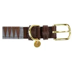 Kentucky Dogwear Dreiecks-Hundehalsband Kentucky (XS, Hund), Halsband + Leine