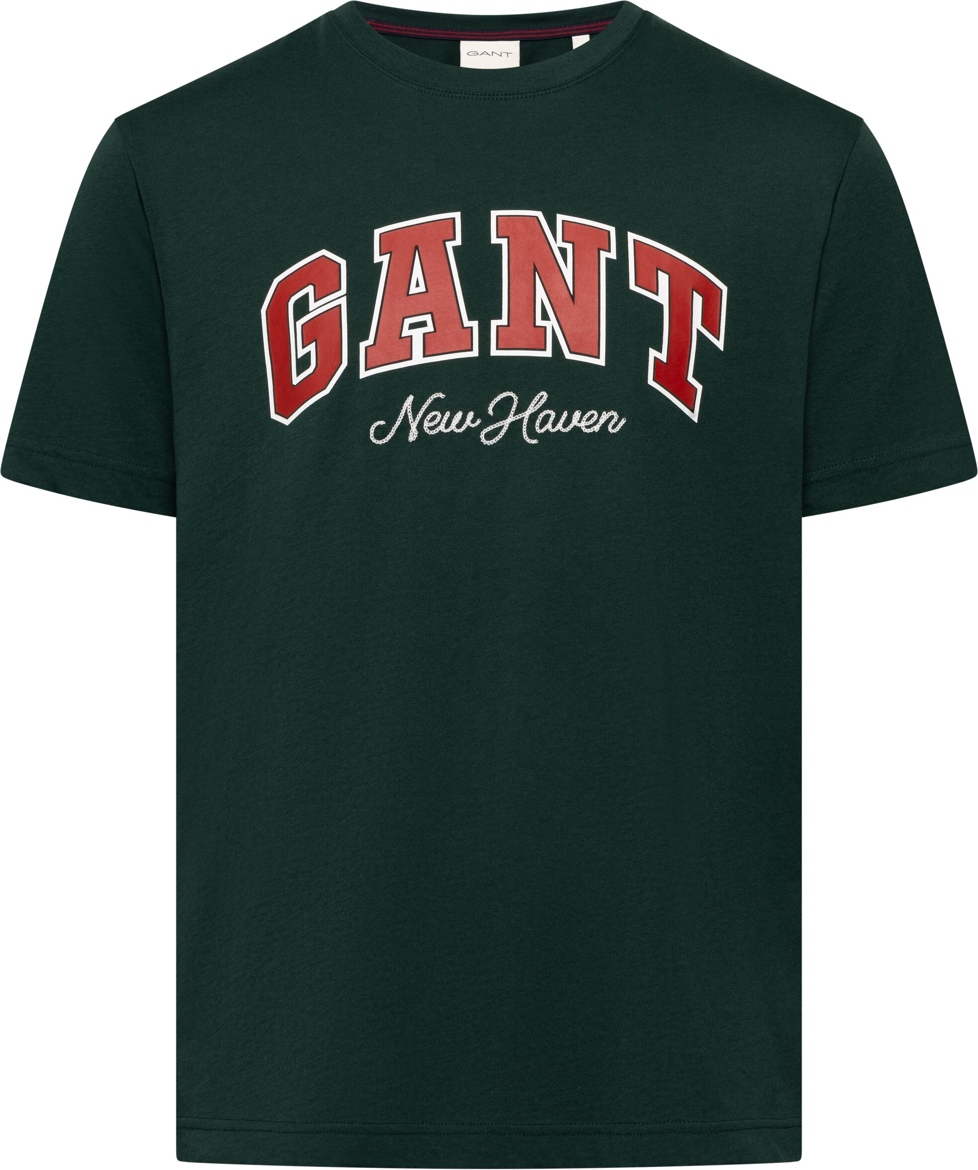 T-Shirt GANT "GRAPHIC", Herren, Gr. XXL, grün (tartan grün), Jersey, Obermaterial: 100% Baumwolle, normal, Rundhals, Shirts T-Shirt tartan grün XXL
