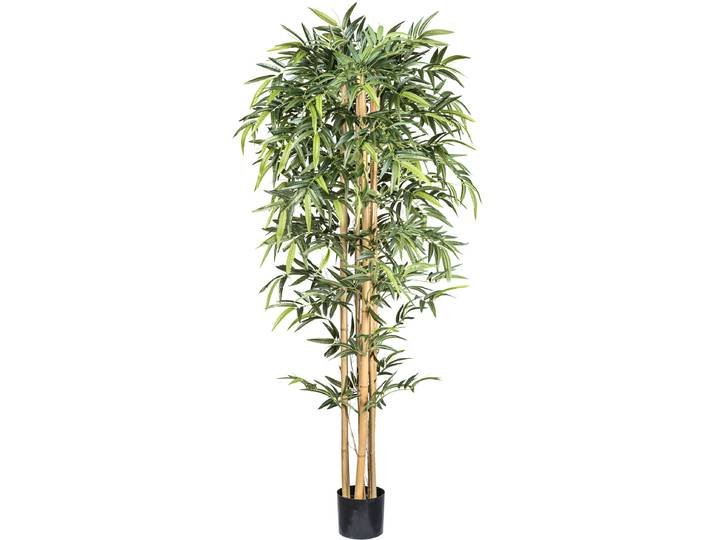 Kunstbaum CREATIV GREEN Bambus , grün, H:210cm, Kunstpflanzen, Kunstbaum, mit echten Bambusstäben