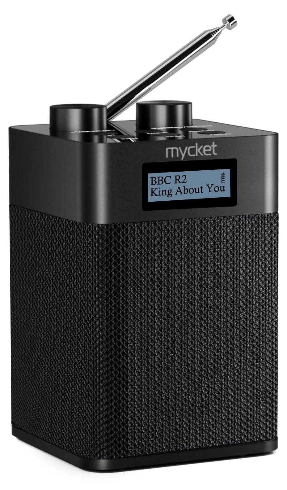 Selius Draagbare Digitale DAB/DAB+ FM-radio met Bluetooth en Oplaadbare Batterij