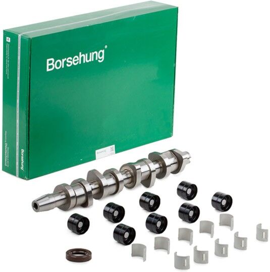 Borsehung B18664 Camshaft kit