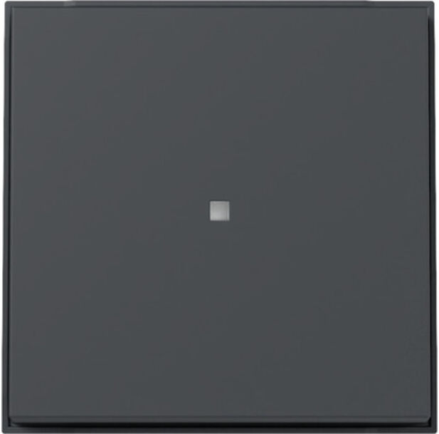 Gira Plaque de commande pour WG encastré Anthracite 329067 (329067)