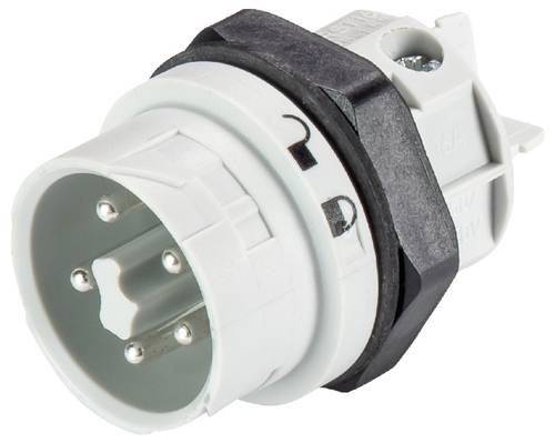 Wieland Electric 46.052.5053.0 Geräteanschluss