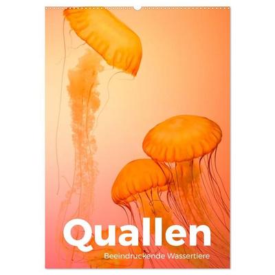 Quallen - Beeindruckende Wassertiere (Wandkalender 2027 DIN A2 hoch), CALVENDO Monatskalender