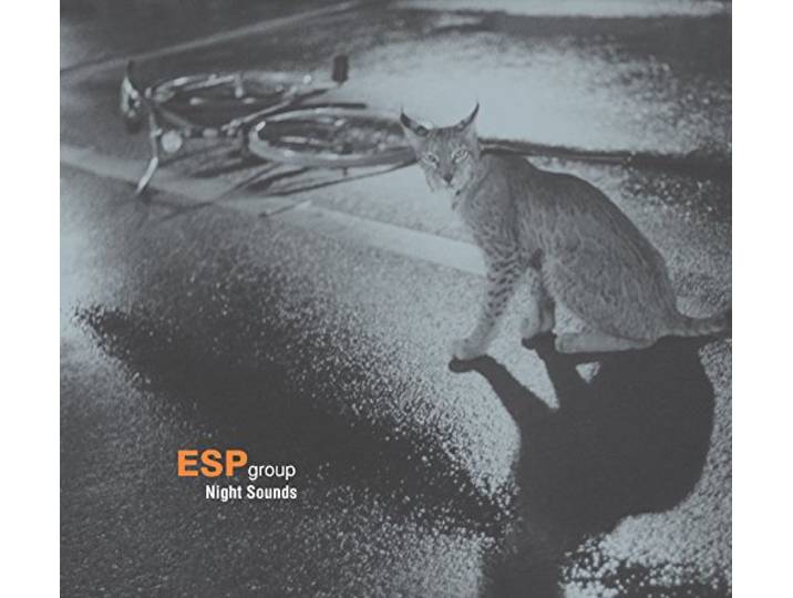 Esp Group - Night Sounds