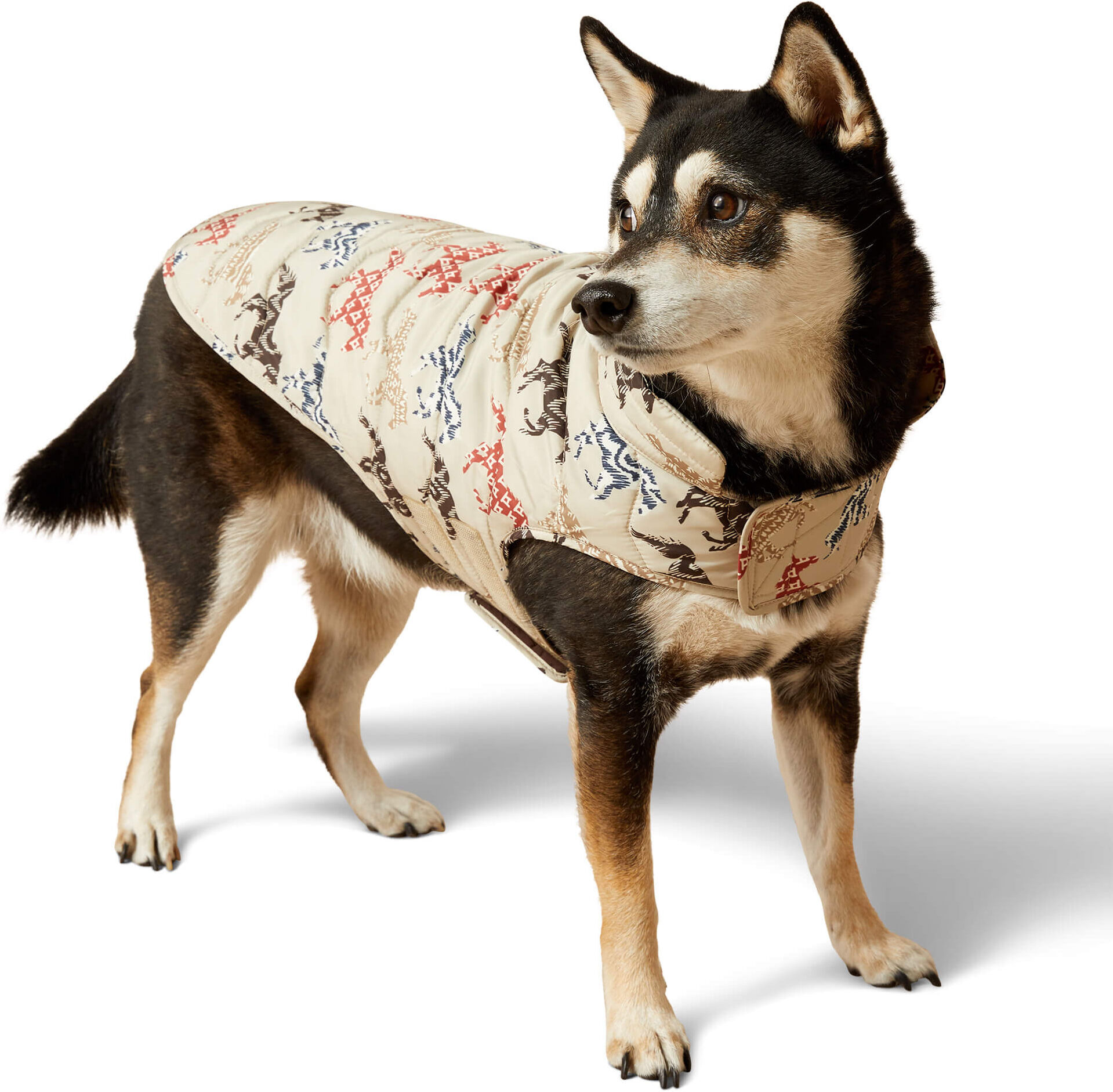 Pup Puffer Jacket in Painted Ponies Print, Size: Medium Regular by Ariat