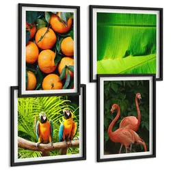 BILDER SET 4er Set - 50x50 cm & 40x60 cm Schwarzer Rahmen - Fruchtige Akzente der Tropen