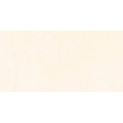 Rako Levante Wandfliese hellbeige 30x60 cm matt WADVK590.1