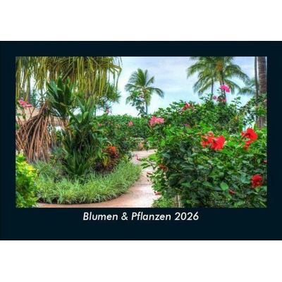 Blumen & Pflanzen 2026 Fotokalender DIN A5