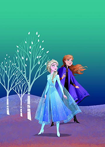 Komar Disney Frozen Sisters muurschildering decoratie voor de kinderkamer B: 50 cm, H: 70 cm