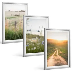BILDER SET 3er Set - 40x60 cm Silberner Rahmen - Landschaften Natur Felder Weg