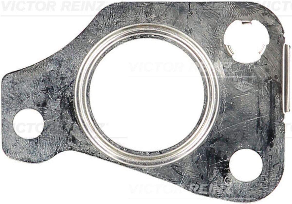 Victor Reinz Guarnizione, compressore REINZ 71-39542-00