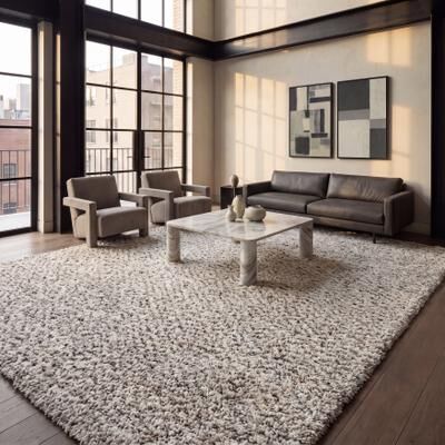 SAFAVIEH Hudson Shag Rahime 2-inch Thick Rug