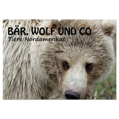Bär, Wolf und Co - Tiere Nordamerikas (Wandkalender 2027 DIN A2 quer), CALVENDO Monatskalender
