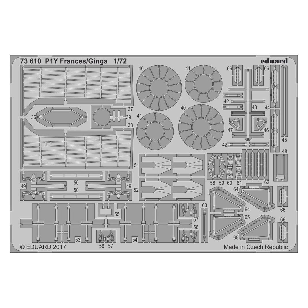 Eduard P1Y Frances/Ginga for Hasegawa (73610)