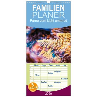 Familienplaner 2026 - Farne vom Licht umtanzt mit 5 Spalten (Wandkalender, 21 x 45 cm) CALVENDO