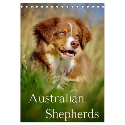 Australian Shepherds (Tischkalender 2027 DIN A5 hoch), CALVENDO Monatskalender