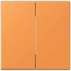 Jung Hue Funk-Wandsender Set FOH LC 995 225