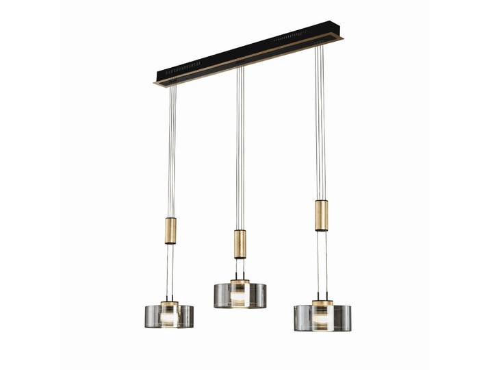 Fischer & Honsel Led-Hängeleuchte, Schwarz, Metall, Glas, 20x160x100 cm, höhenverstellbar, Lampen & Leuchten, Innenbeleuchtung, Hängelampen, Pendelleuchte