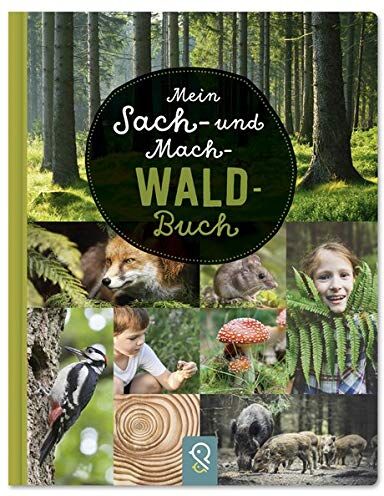Hannah Kastenhuber - Mein Sach- und Mach-Wald-Buch - Preis vom 09.10.2026 07:28:09 h